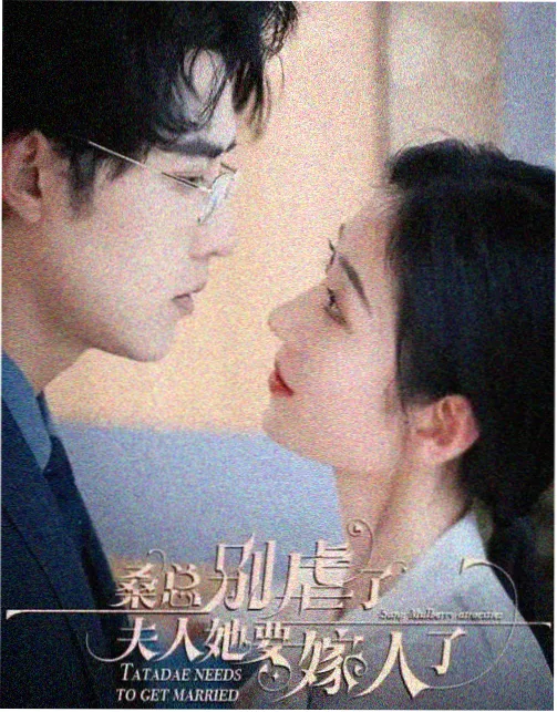 橘子视频电视剧资讯